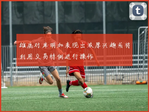 雄鹿对库明加表现出浓厚兴趣或将利用交易特例进行操作