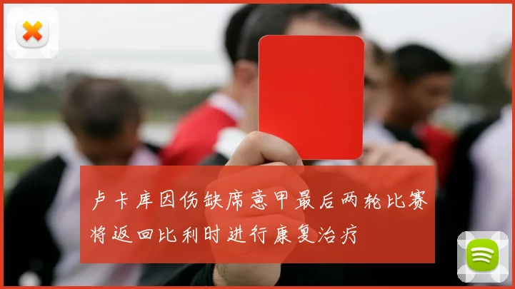 卢卡库因伤缺席意甲最后两轮比赛将返回比利时进行康复治疗